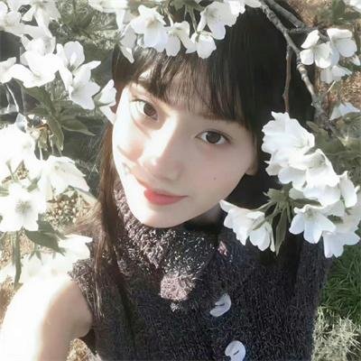 一棵树