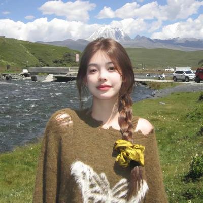 唐顿庄园2
