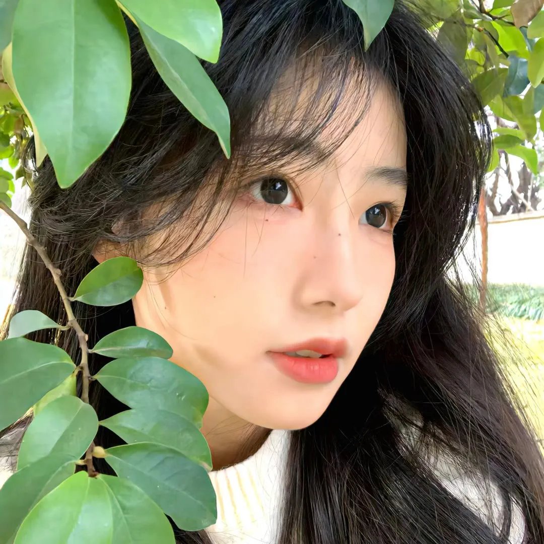 永不褪色